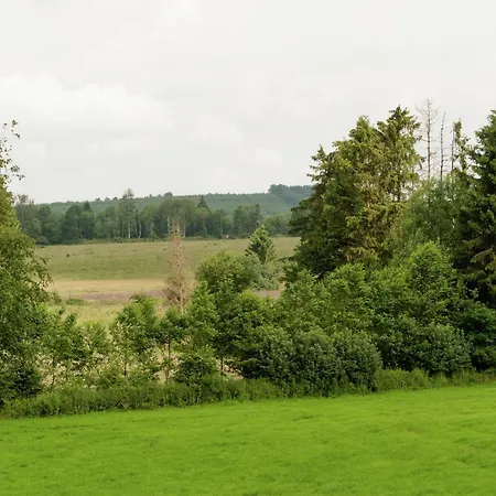 In Deiffelt Near Forest *