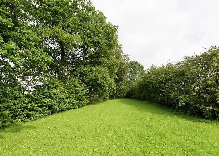 펜션 In Deiffelt Near Forest