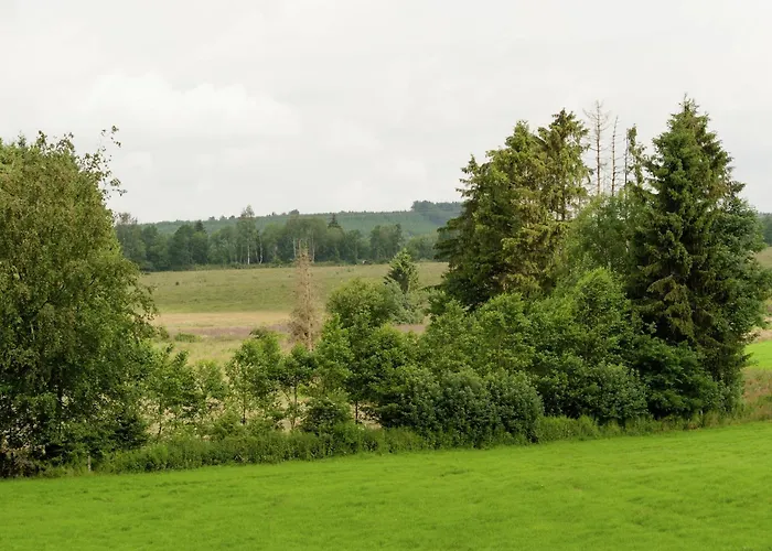 In Deiffelt Near Forest *