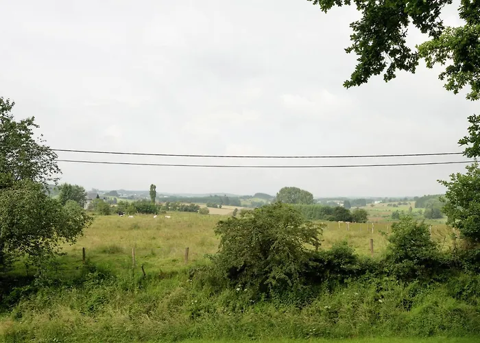 펜션 In Deiffelt Near Forest Gouvy